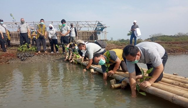 Cegah Abrasi, Tzu Chi Tanam 10 Ribu Mangrove